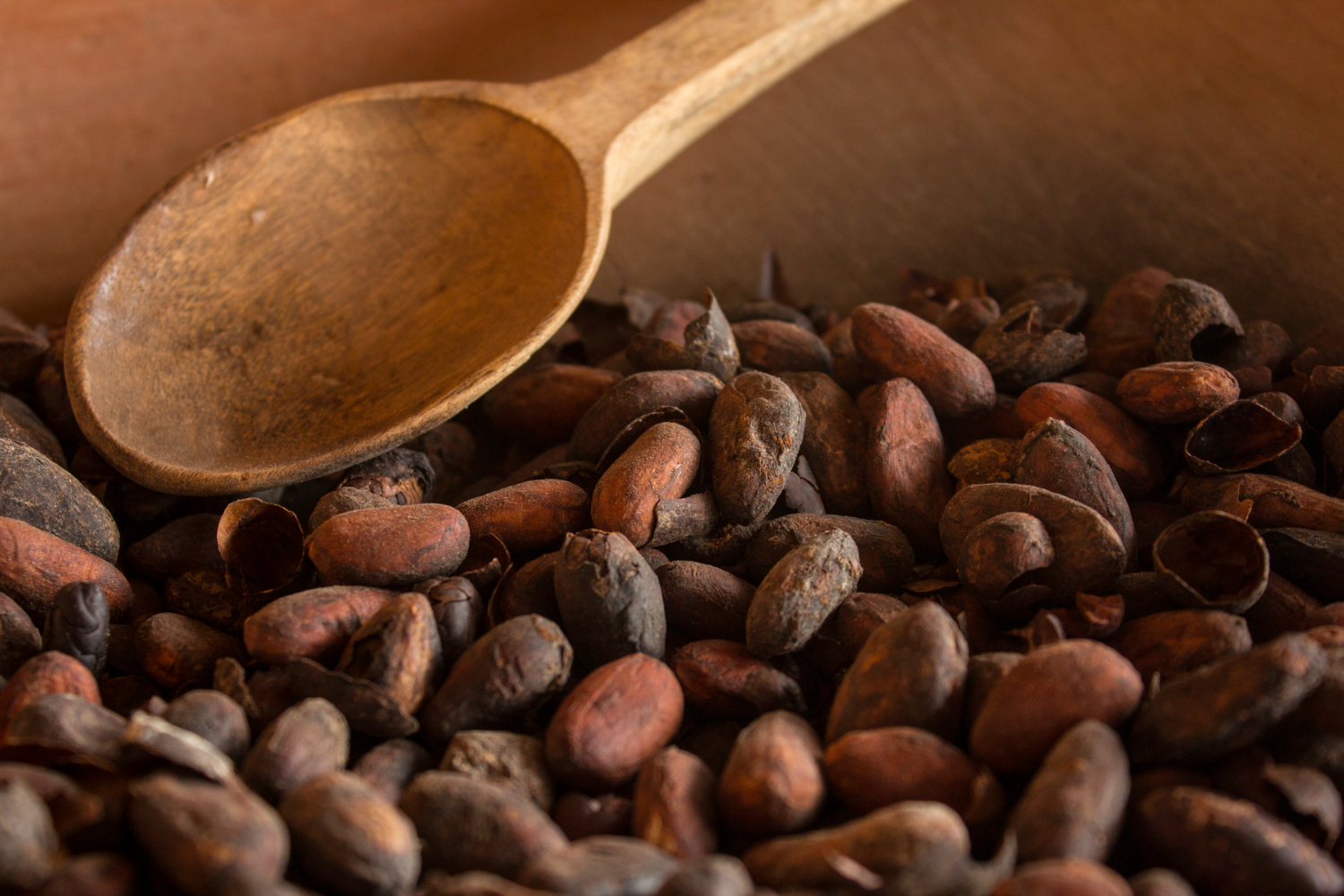 De beste ceremoniële cacaoproducten voor spirituele ervaringen