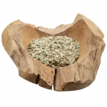 Eucalyptus globulus - 20 gram