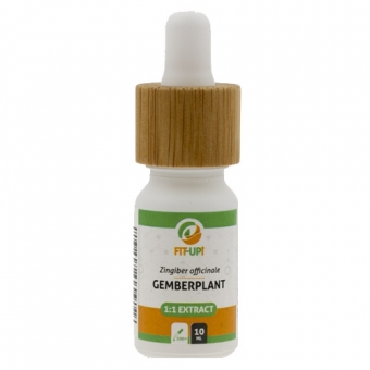 Gemberplant 1:1 extract - Zingiber officinale