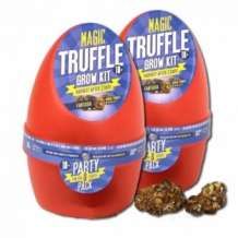 Magische truffel groeikit  Fantasia 1+1 gratis