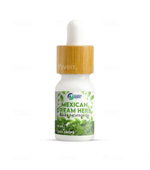 Dream Herb 3% (Calea zacatechichi) alkaloïde extract