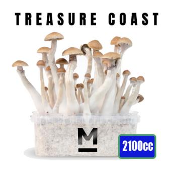 Treasure Coast XXL - 2100cc Paddo kweekset